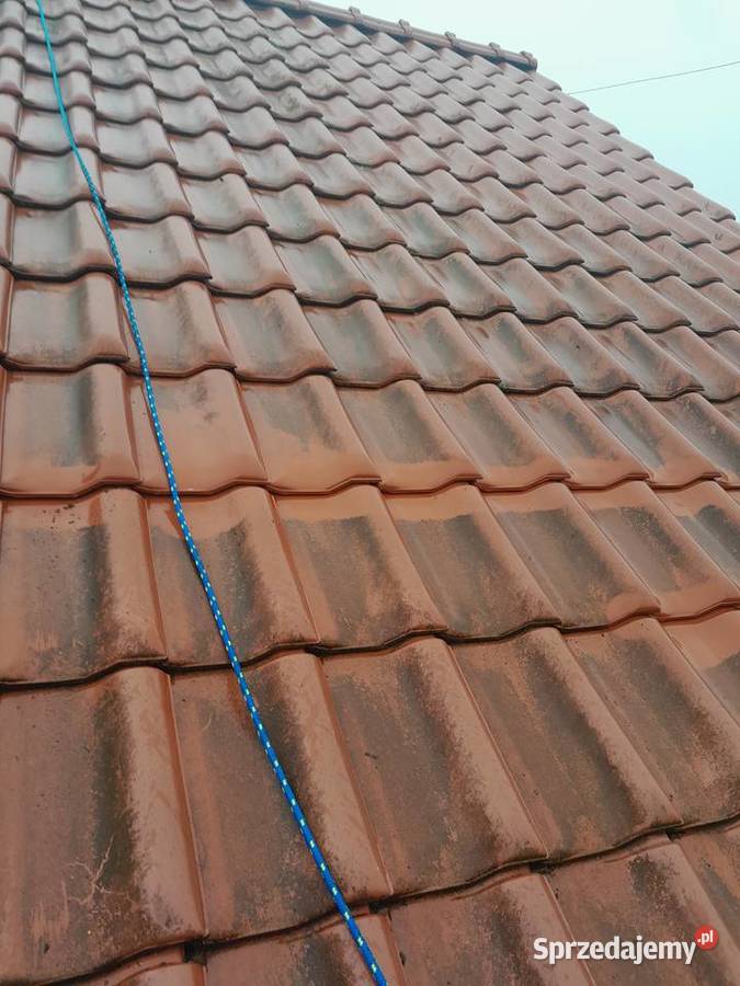Mycie malowanie dachów