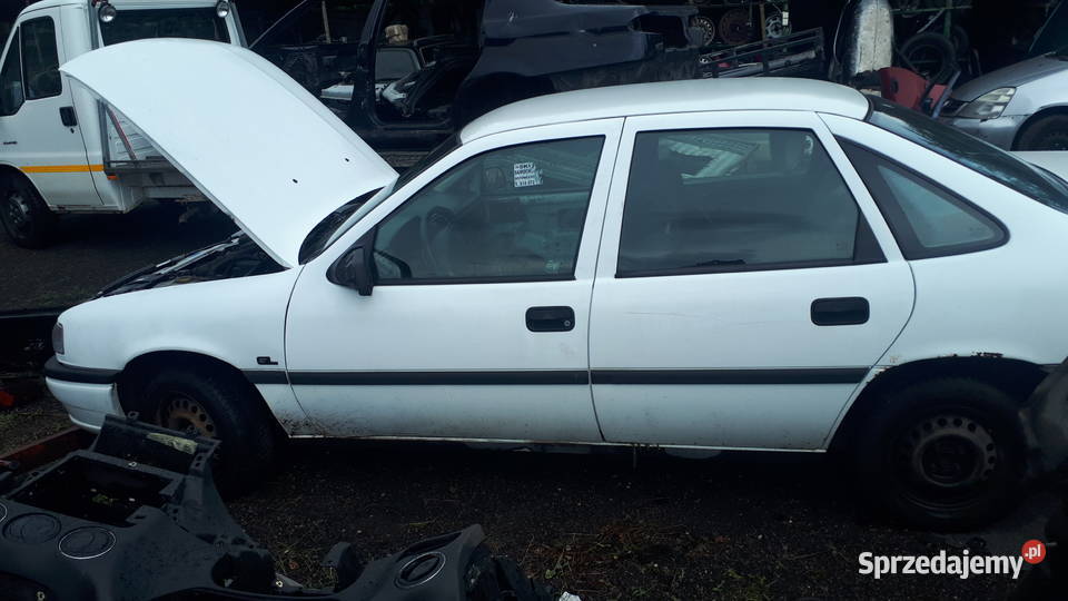 Opel Vectra A 17TD Zdrowy Celestynów