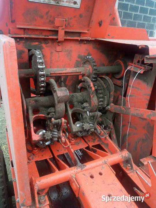 Prasa sipma kostka nieuszkodzony Kostkujące wielkopolskie Baranów