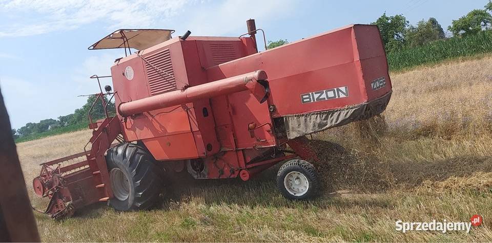 Bizon super sprzedam