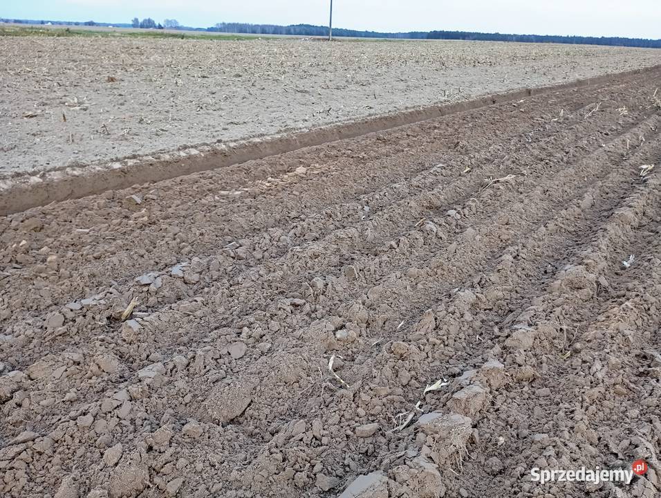 Pług 4 obrotowy eberhard Pługi