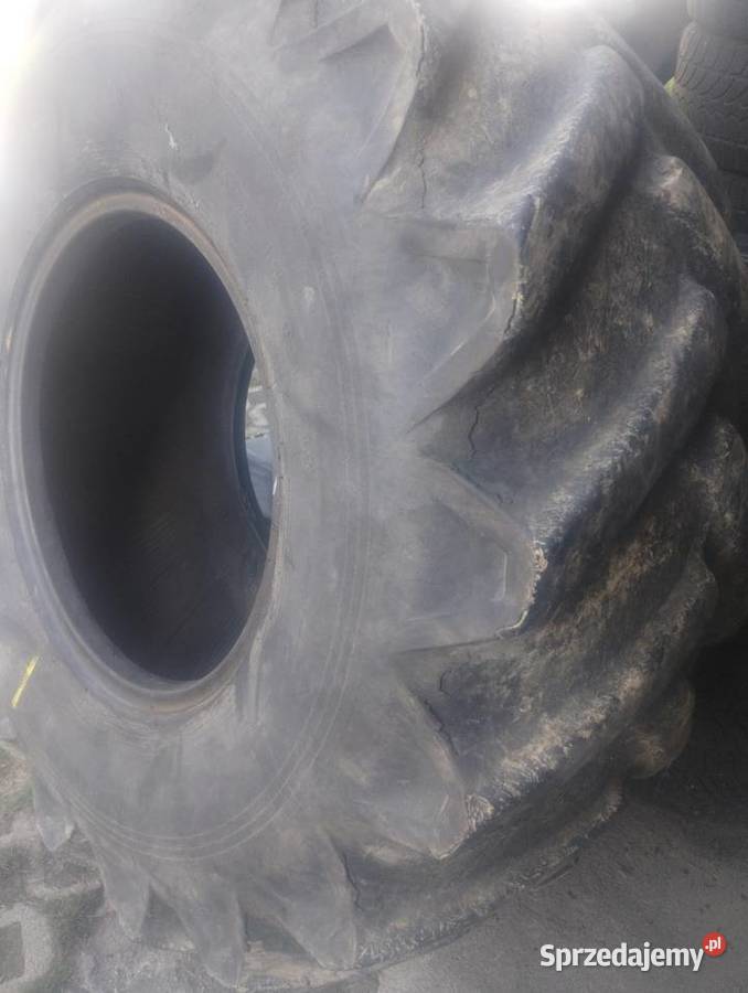 Opona bizon szeroka 231 r26 Dunlop Parczew