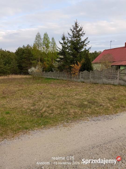 Sprzedam działkę 1500m domem do remontu 80m2 Przybyłów