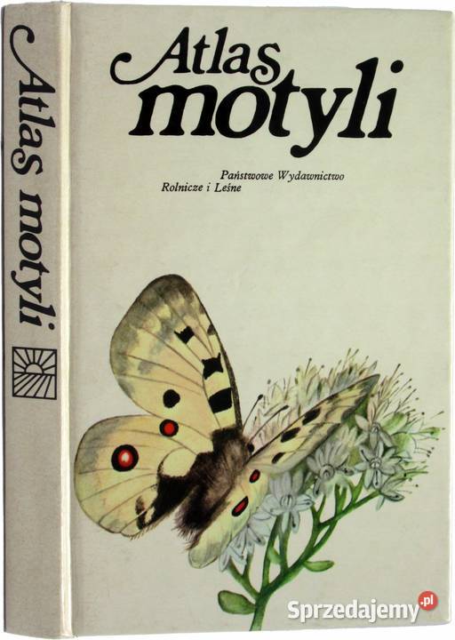 Atlas motyli Moucha Osięciny