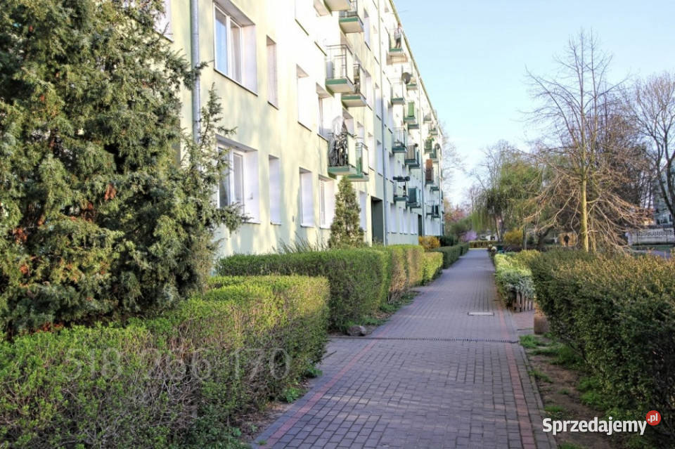 3 4 pok Marysin Wawerski Sprzedaż Warszawa