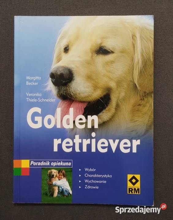 Golden retriever Poradnik opiekuna Becker łódzkie Bełchatów