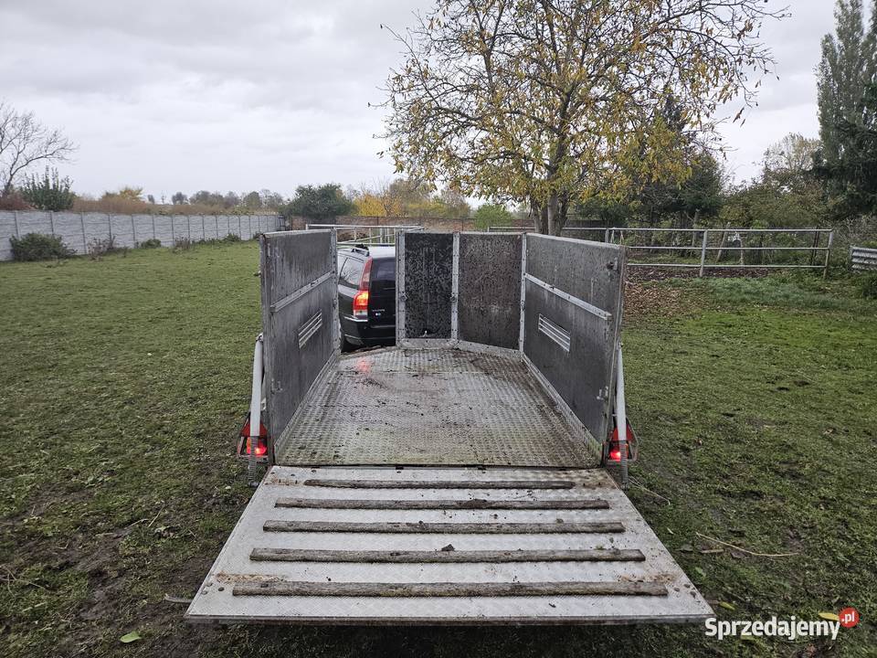 SPRZEDAM koniowoza wielkopolskie Gniezno sprzedam