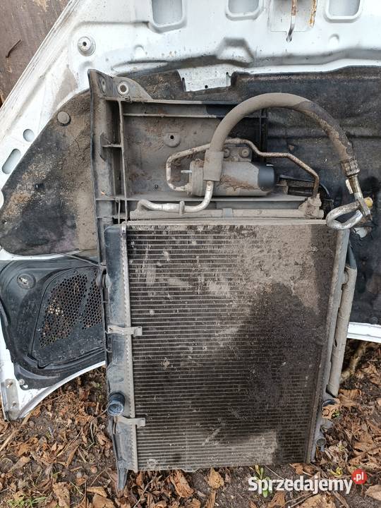 Kompletny pas przedni peugeot 206 14 20 hdi Międzychód sprzedam