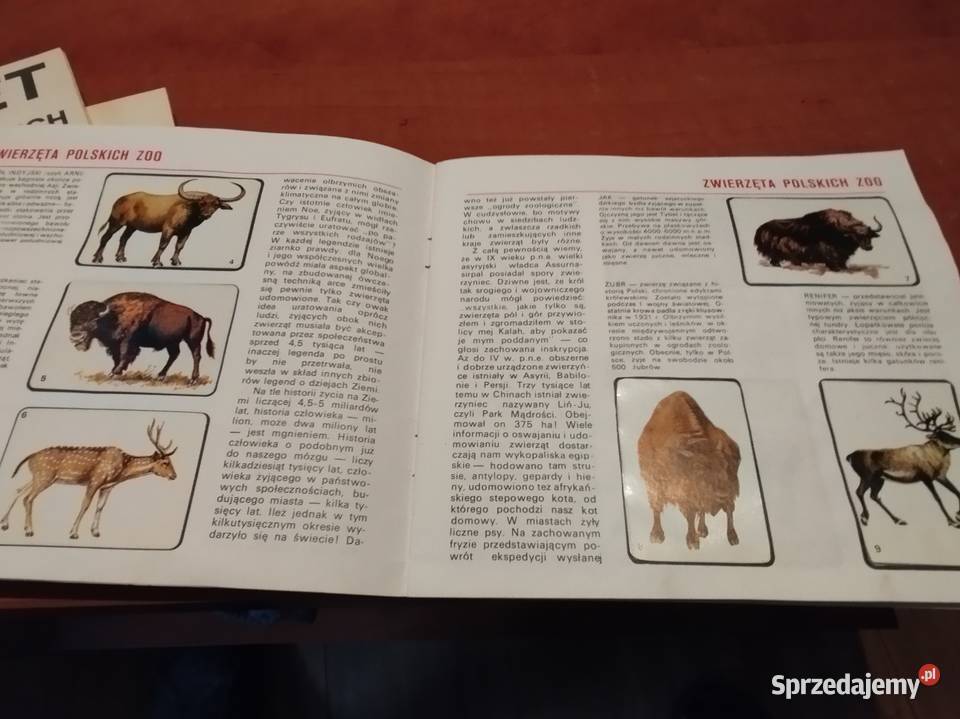 IS kolekcjonerskie zeszyty PKW