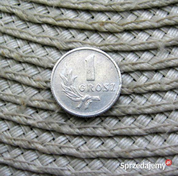 Polska 1 Grosz 1949r Kalisz sprzedam