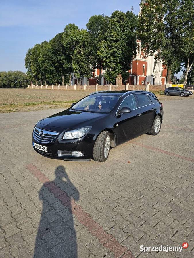Opel Insignia 16t BG reflektory ksenonowe Podzamcze