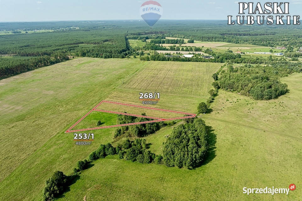 Na sprzedaż działki rolne łącznie 9600 m 0m Piaski sprzedam