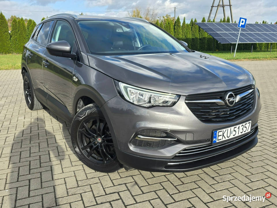 Opel Grandland X 12Turbo Benz NaviAsystent Pasa łódzkie Kutno