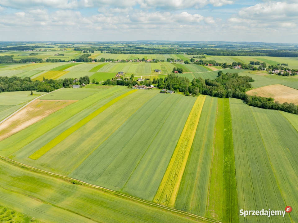 Sielska nieruchomość w otoczeniu natury 220 HA 30m Grzegorzowice Wielkie