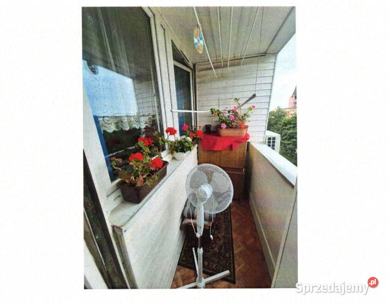 Syndyk sprzeda lokal mieszkalny 32m2 Legnica