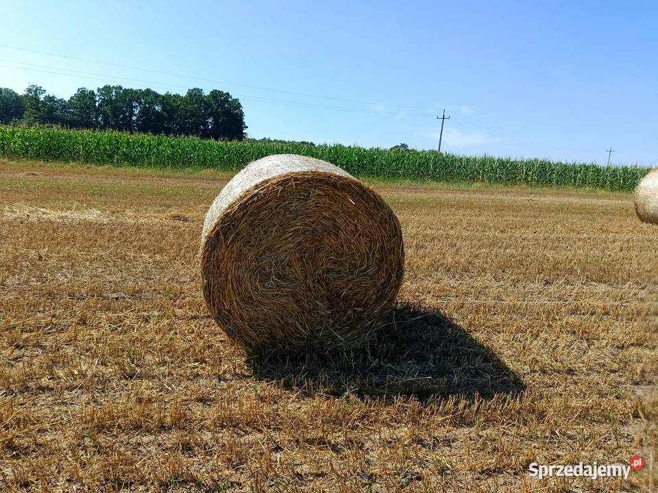 Słoma w belach rozmiar 130 Hornowo sprzedam