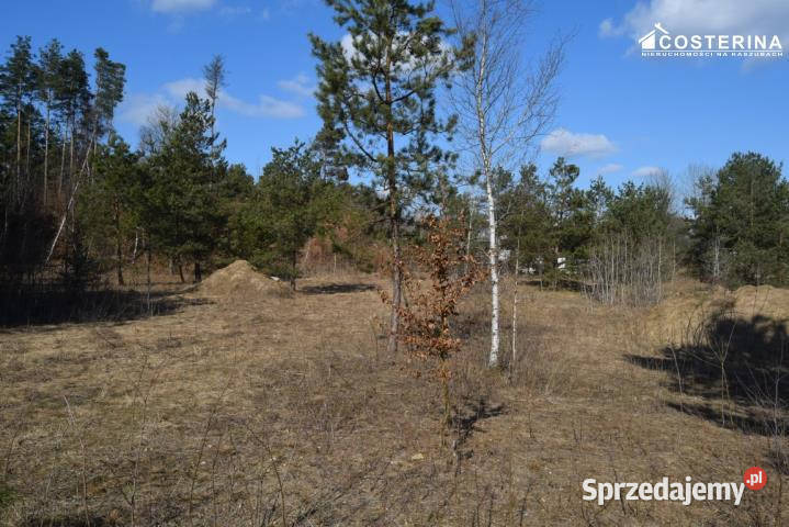 Sprzedam działka Parchowo 1312m2 Grunty i działki sprzedam
