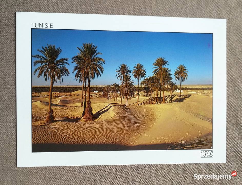 TUNEZYJSKA SAHARA WIDOK NA WYDMY I PALMY Piszczac