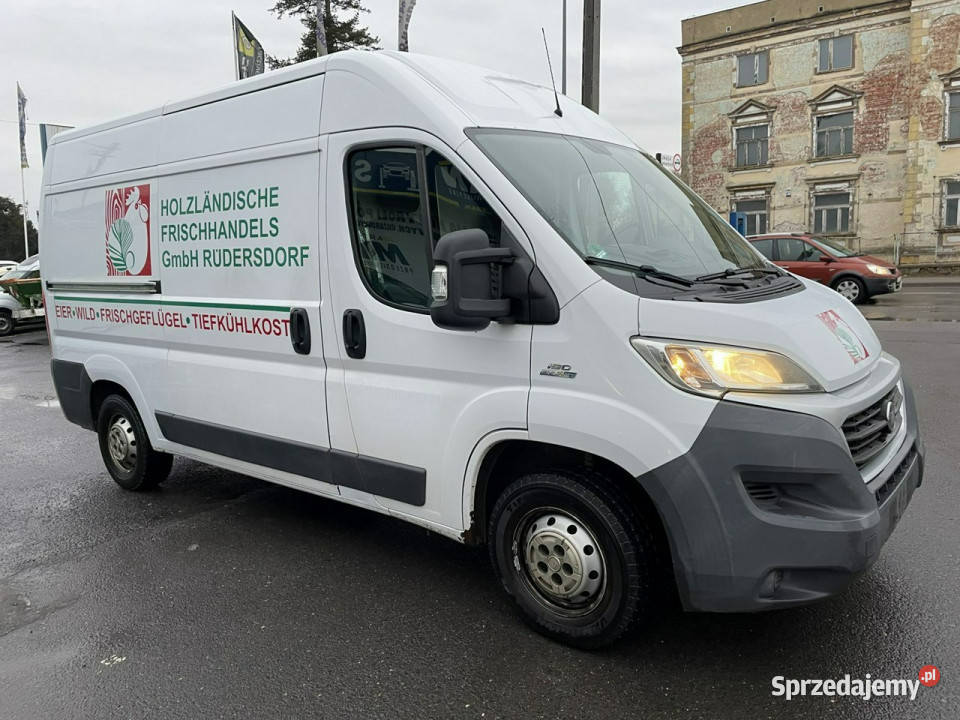 Fiat Ducato Ducato 30180 Chłodnia Konvekta Model chłodnia (izoterma) Syców