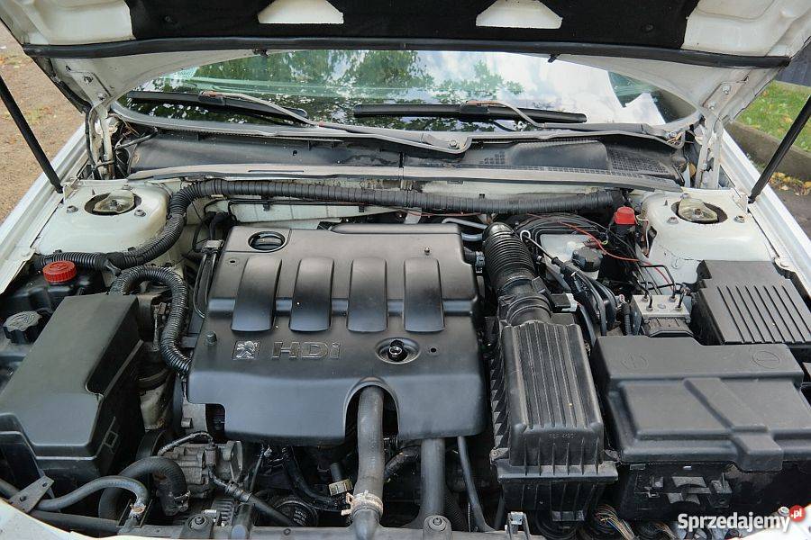 Peugeot 406 Lift Klima3200pln światła przeciwmgłowe