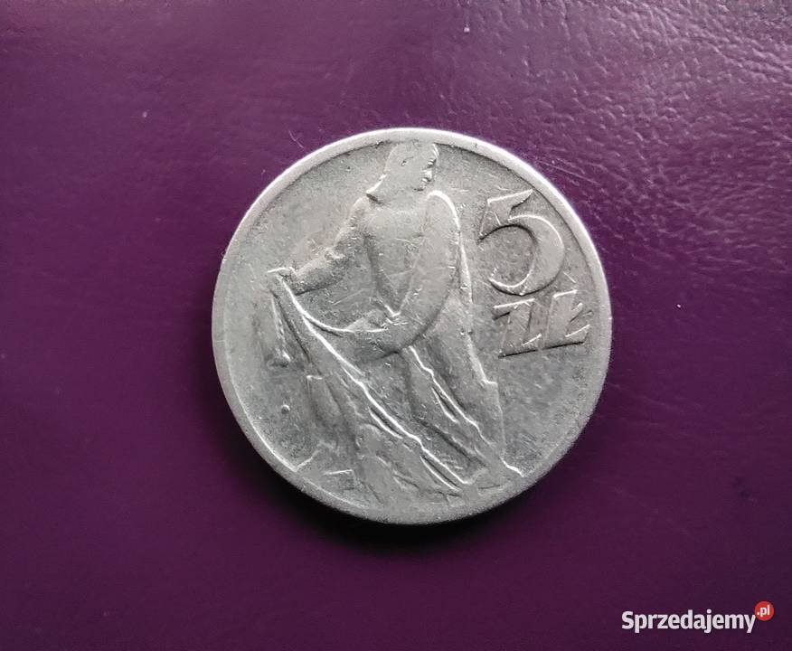 Moneta PRLu 5 ZŁOTYCH 1959 RYBAK Rzadkość