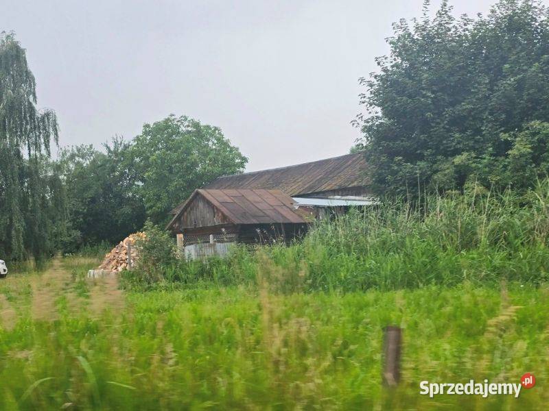 Sprzedaż udziału w nieruchomości w Terlikowie sprzedam