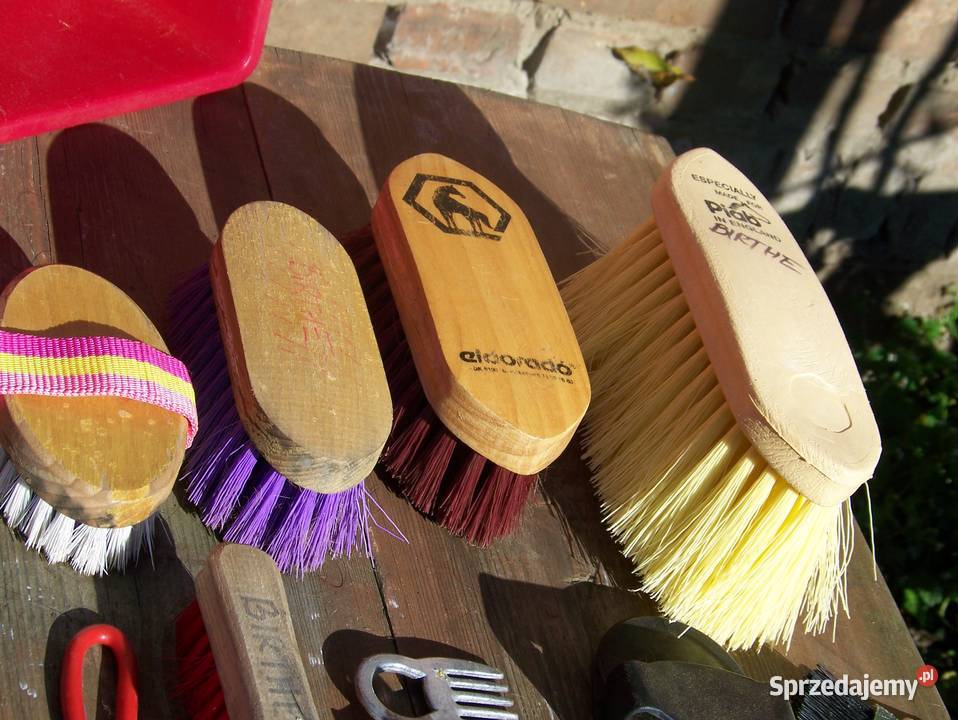 szczotki konia zachodniopomorskie