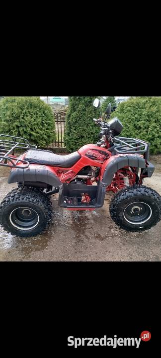 Quad 250 manual 41 2020 Rok produkcji 2020 Kostry-Noski