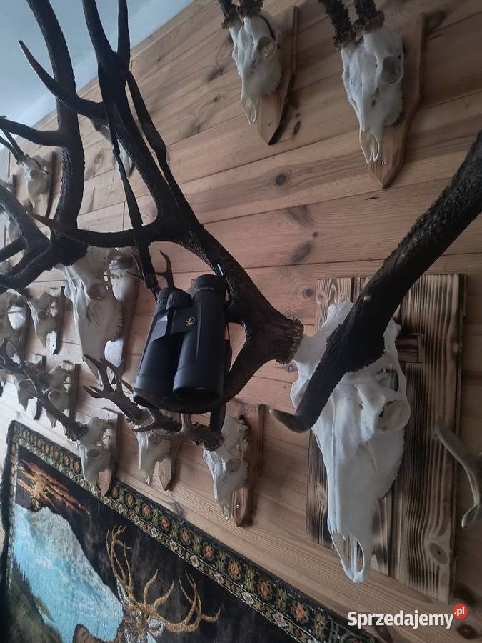 Lornetka 10x52 leupold BX2 AlpineHD Mielec