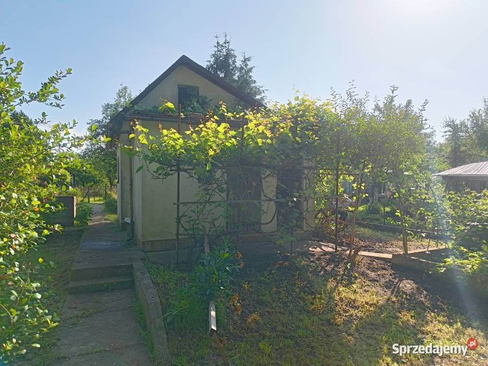 Odstąpię działkę ROD Wojnów Ubocze 350m2 44zł/m2 Wrocław