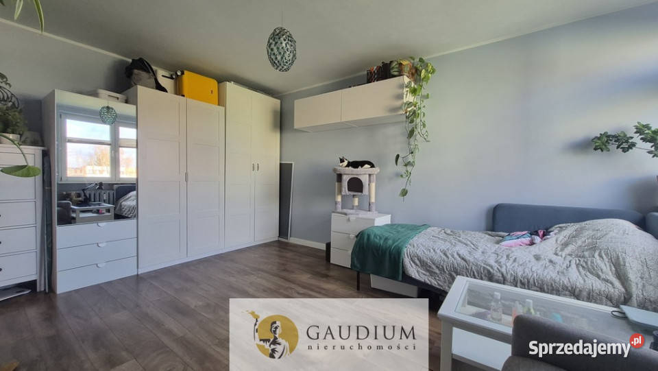 Kawalerka gotowa do zamieszkania 24 m2 Tczew Rok budowy 1965 pomorskie