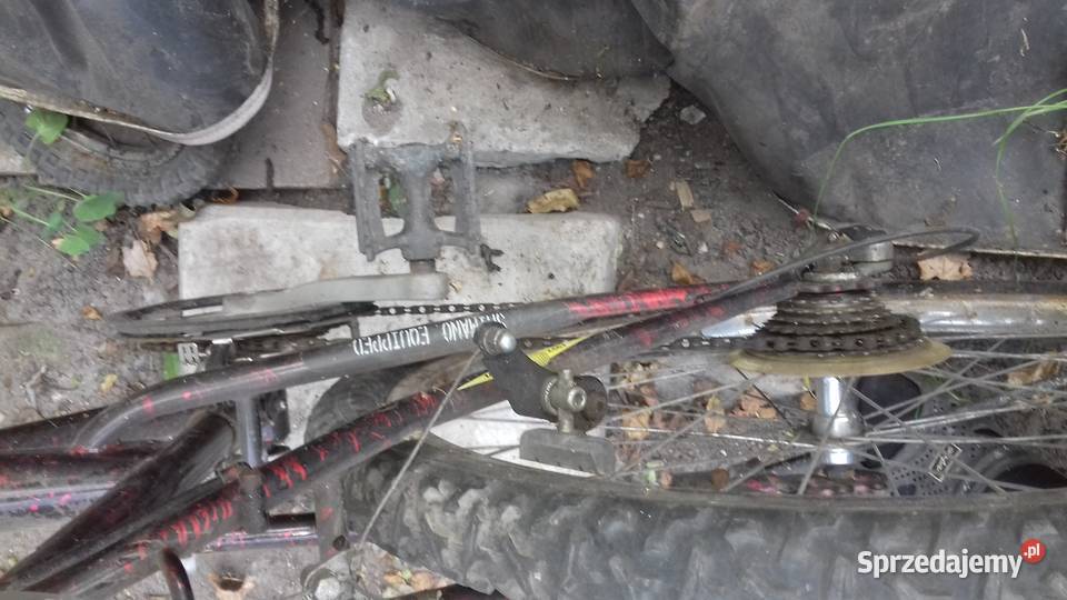 włoski rower vicini Łódź