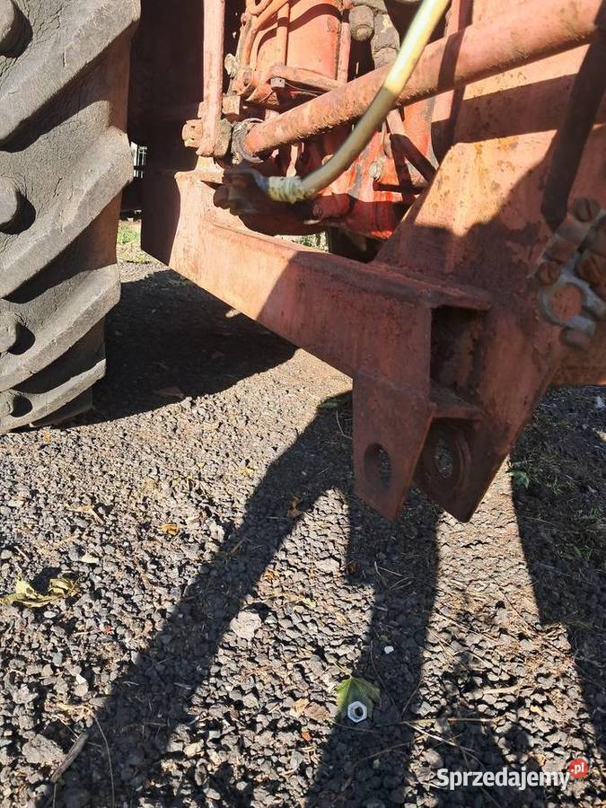 Białoruś jumz Belarus Zielona Góra