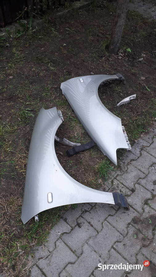 Blotnik audi a3 8l prawy lewy ly1x lift Garwolin sprzedam