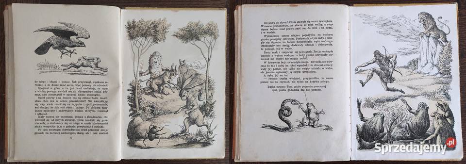 Unikat Bajki z tematów Ezopa 1953 Świderkówna mazowieckie Warszawa