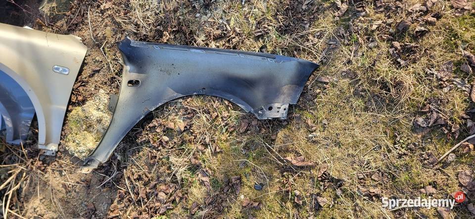 Błotnik Prawy Passat B 5 FL Różne Kolory Żabno