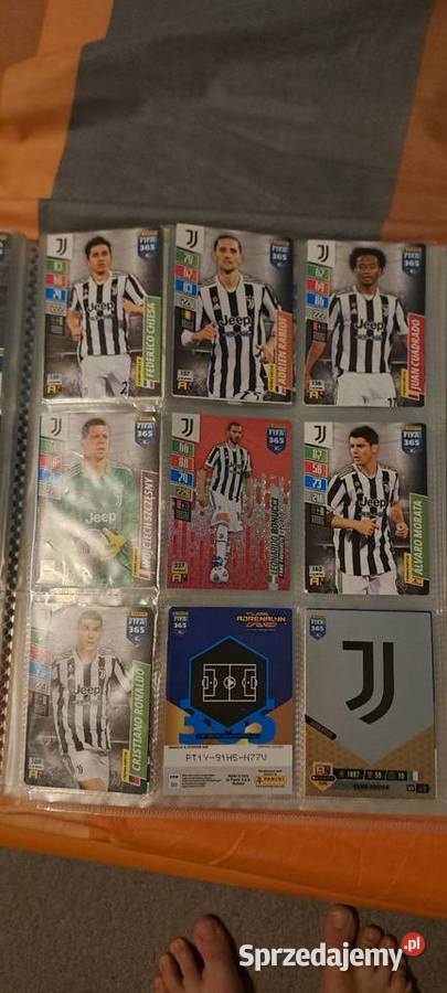 Karta panini album ponad 100 kart podkarpackie Rzeszów