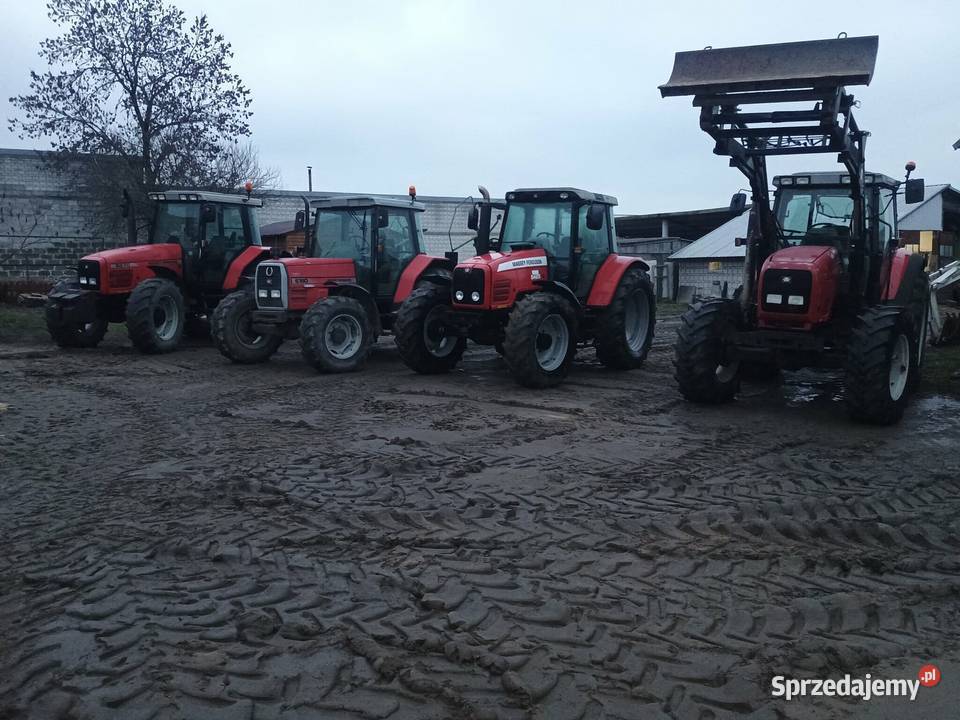 Massey Ferguson do wyboru mazowieckie Ostrów Mazowiecka