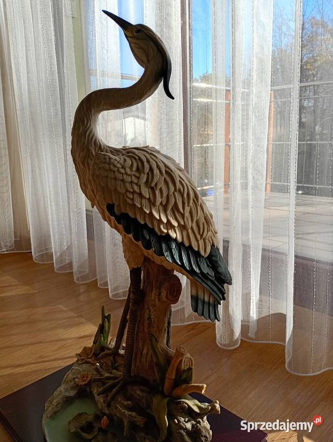 C Z A P L A duża żywa Ustroń