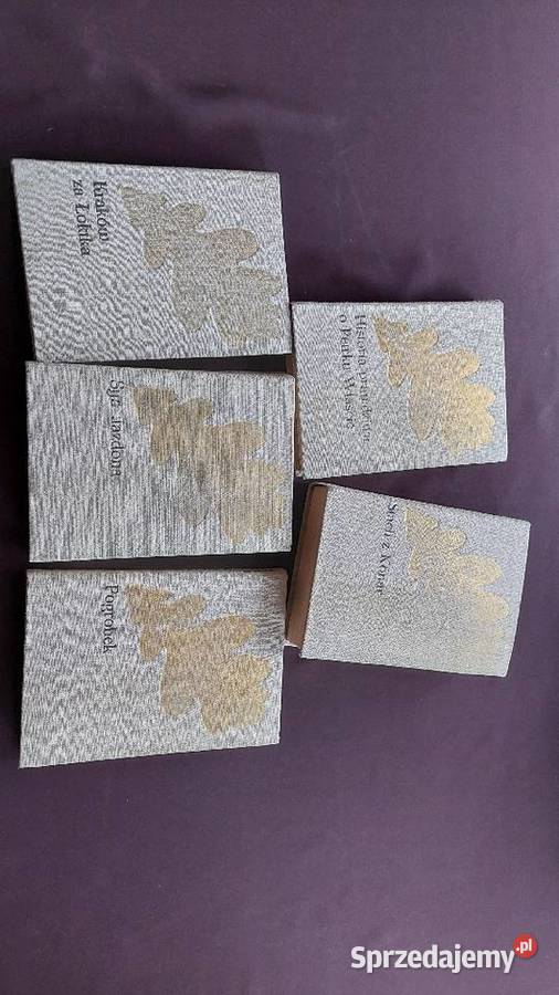 JI Kraszewski Pogrobek Stach z KonarKraków twarda