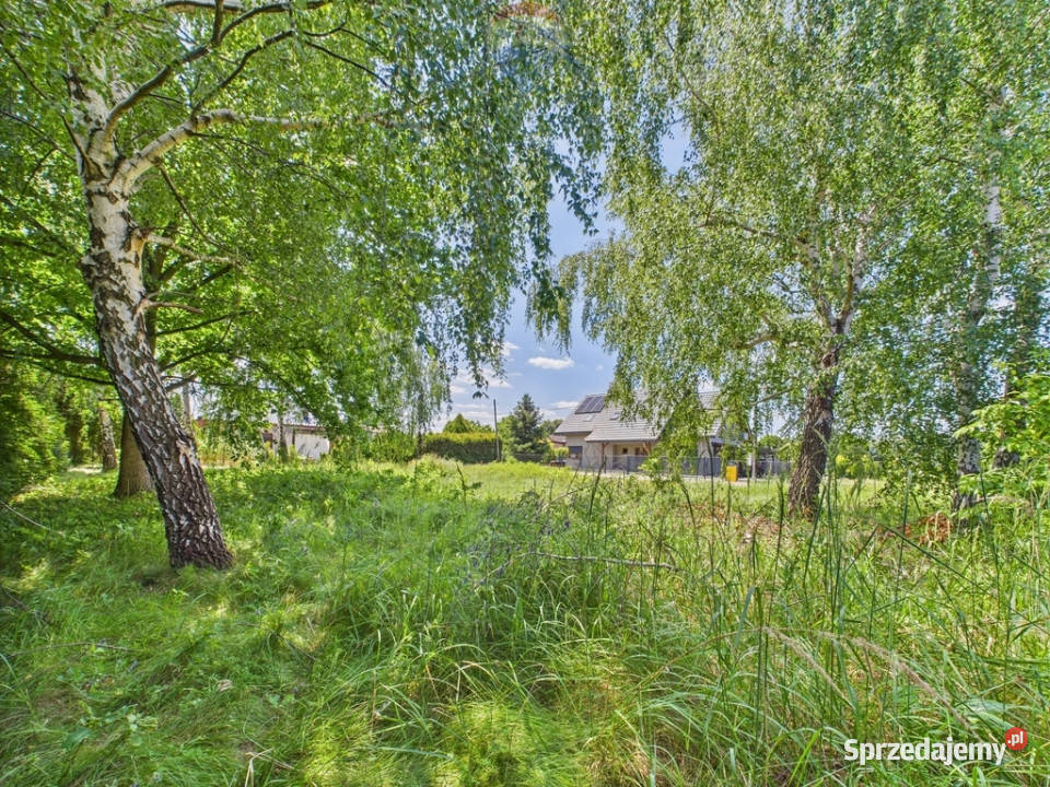 działka budowlana na sprzedaż w Żorach Żory