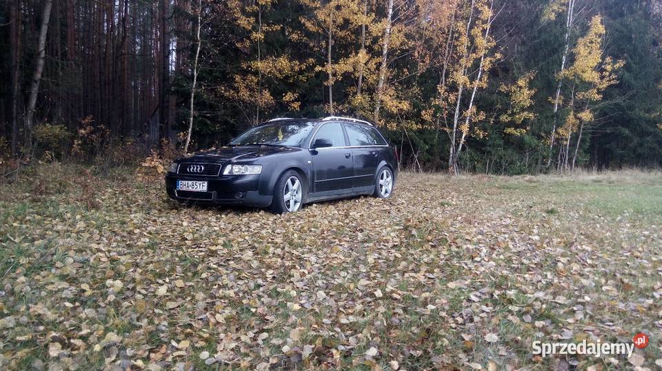 Audi A4 B6 2002 18t 150KM Narewka
