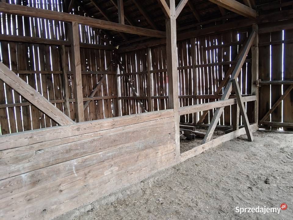 Pomieszczenie magazynowe przechowalnia