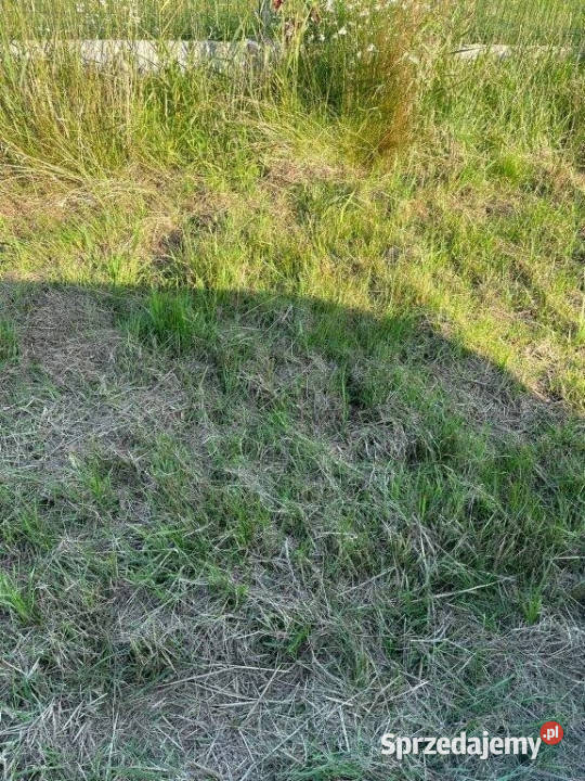 Działka budowlana morzem Wicie