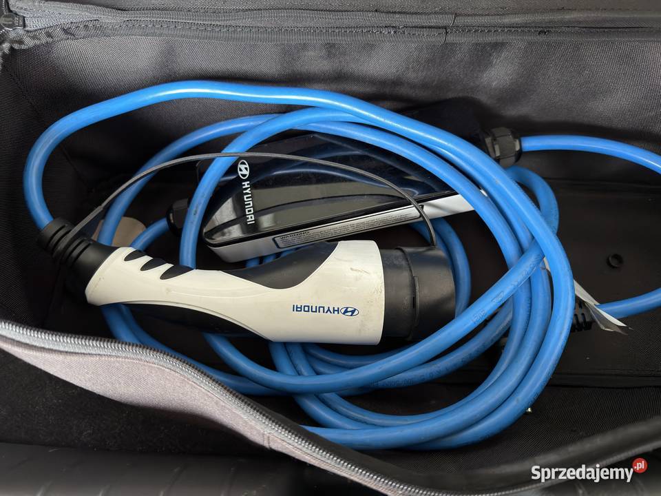 Hyundai Ioniq 28 kWh Platinum wideorejestrator nieuszkodzony Skawina