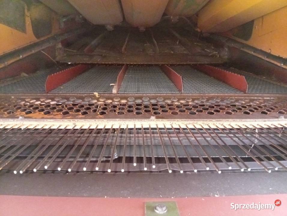 Sprzedam bizona ZO56 Boczki Chełmońskie