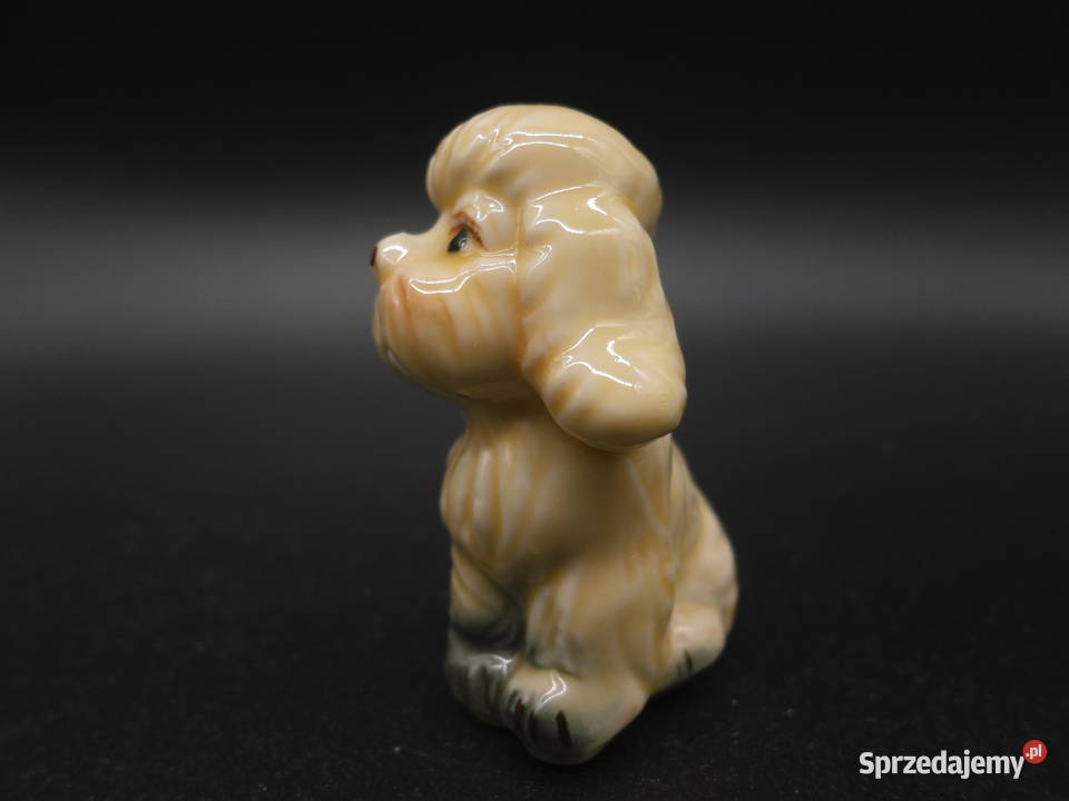 Porcelanowa figurka piesek wielkopolskie Raszków sprzedam