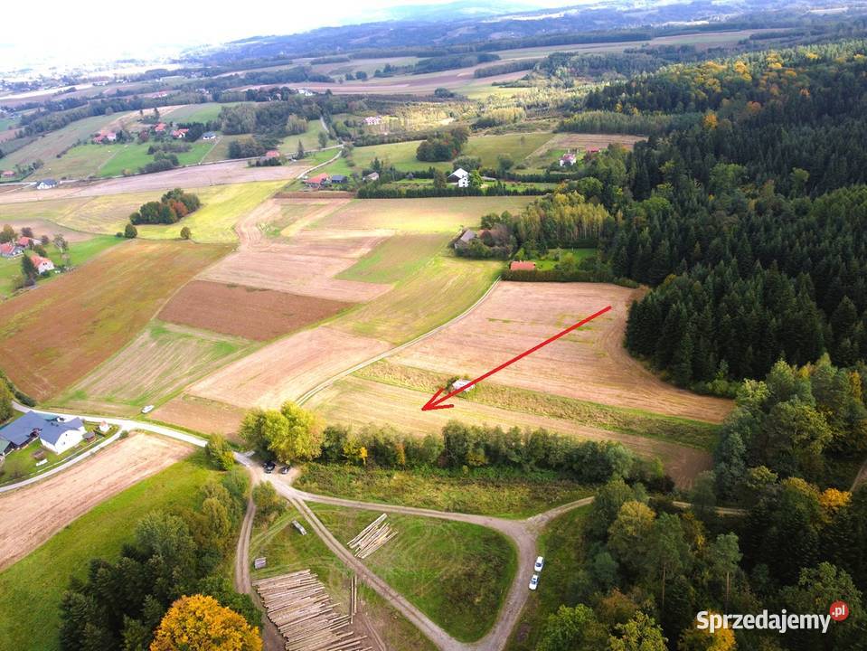 Działka lesie 59 ar Sprzedaż podkarpackie Kozłówek