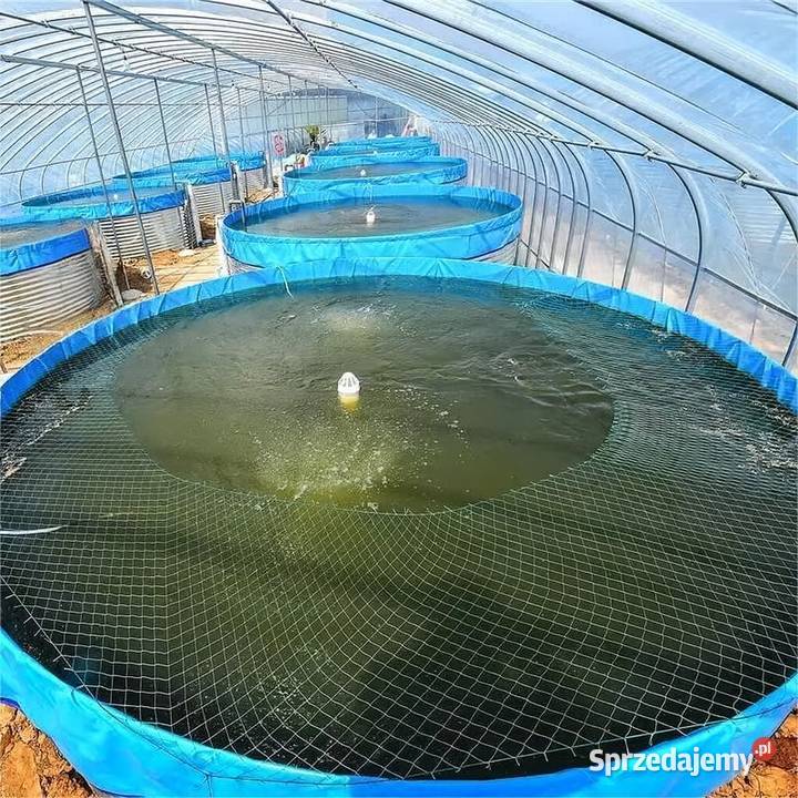 NOWE PVC Baseny do hodowli ryb Baseny do Warszawa