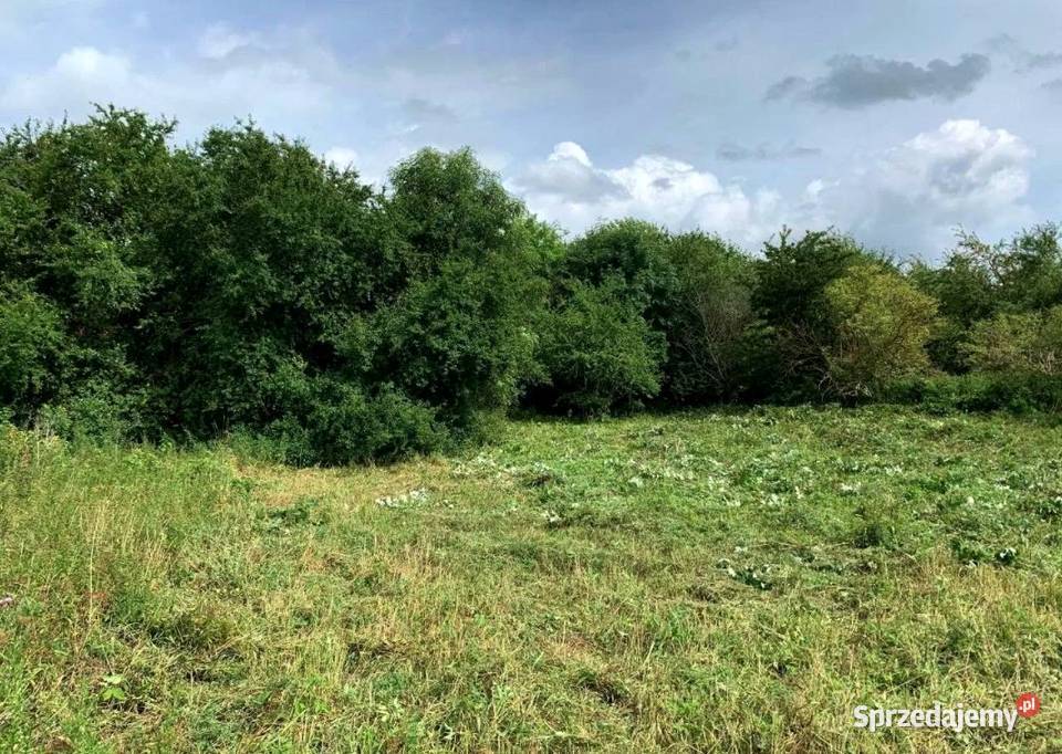 Działka budowlana 26zł/m2 Godzisław sprzedam